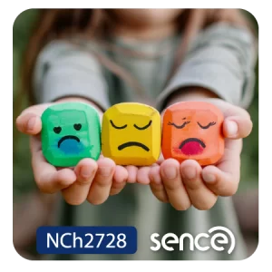 Estrategias en el aula para la desregulación emocional y conductual de estudiantes de enseñanza básica con autismo