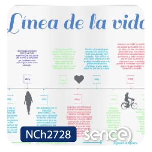 Línea de Vida en Terapia con Adultos: un proceso co-construido para explorar experiencias positivas y adversas