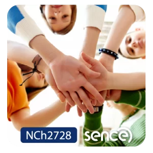 ¿Cómo diseñar un plan de gestión de convivencia escolar contextualizado, inclusivo y efectivo para las escuelas?