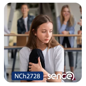 Estrategias para la prevención y abordaje de la violencia escolar desde un enfoque ecológico