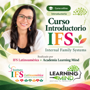 Curso Introductorio IFS en Chile